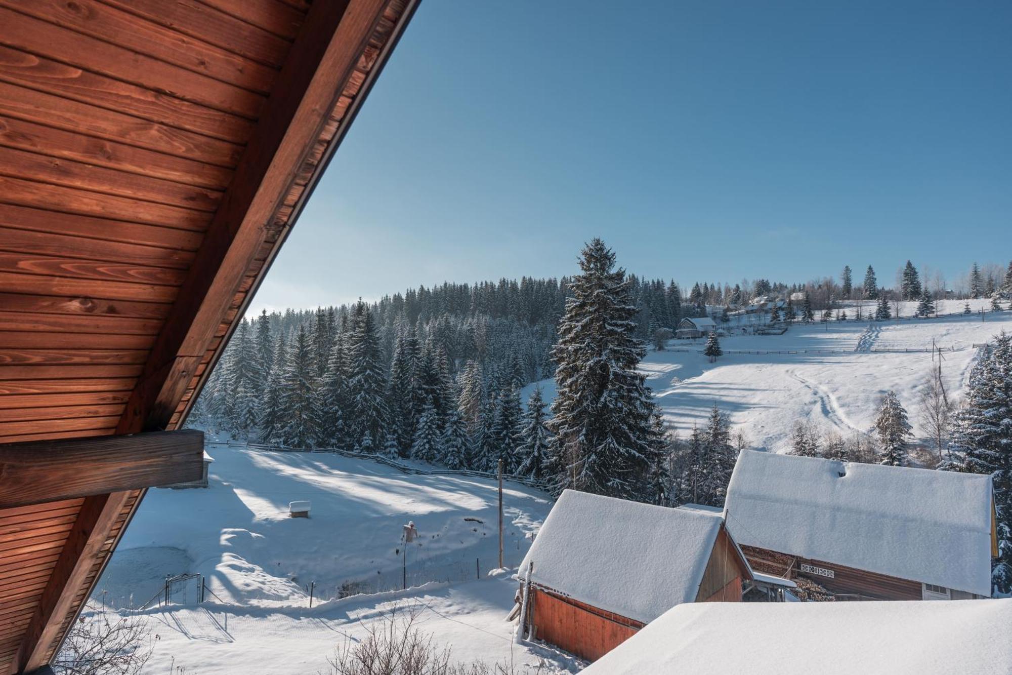 Гостьовий Дім "У Ані" Hotel Yablunytsia Buitenkant foto