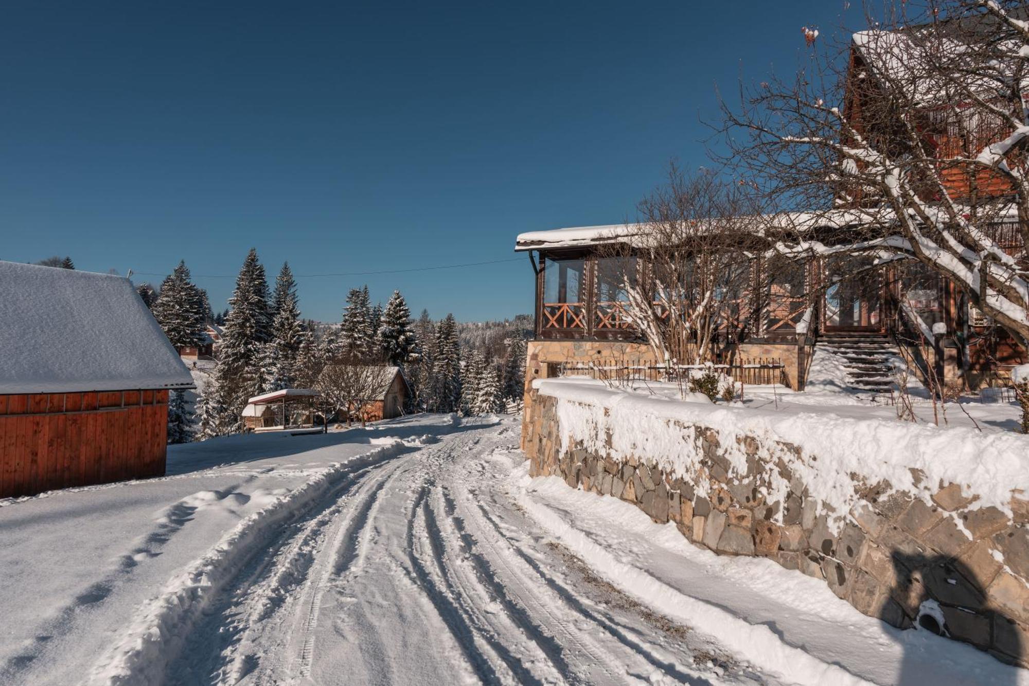 Гостьовий Дім "У Ані" Hotel Yablunytsia Buitenkant foto