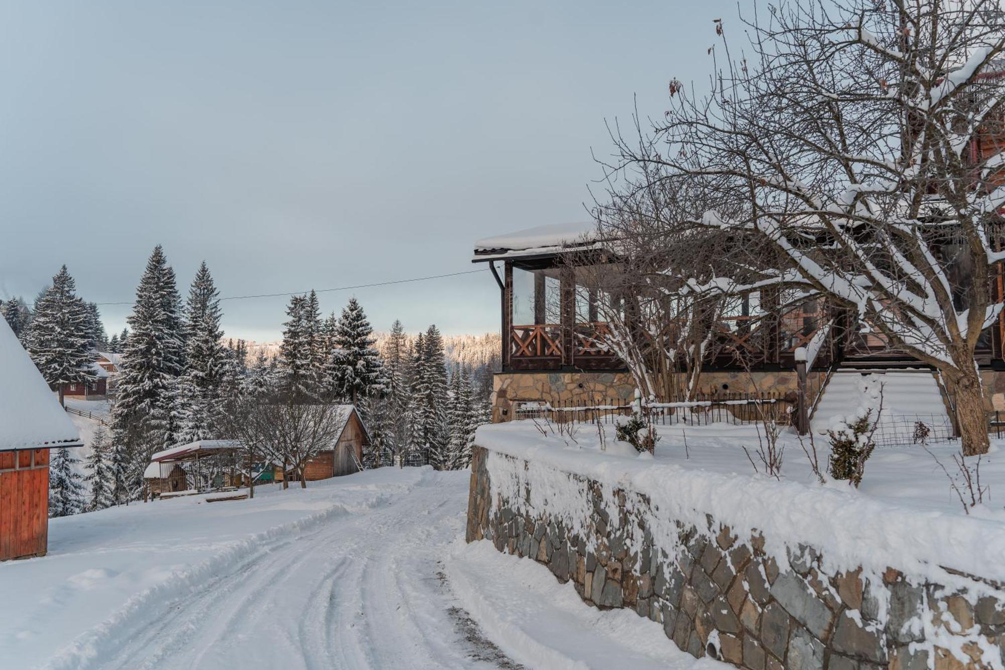 Гостьовий Дім "У Ані" Hotel Yablunytsia Buitenkant foto